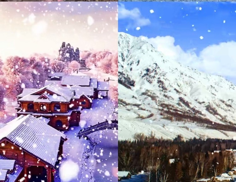 【226款】东北乡村农村冬天雪景下雪怀旧视频素材  第2张
