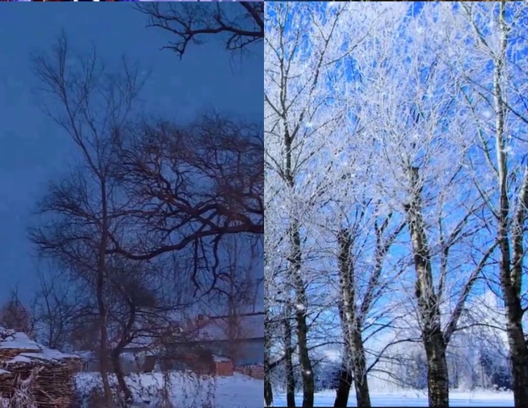 【226款】东北乡村农村冬天雪景下雪怀旧视频素材  第3张